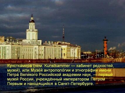 Музей кунсткамера история