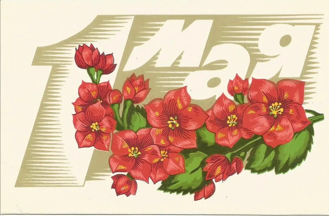 C 1 may