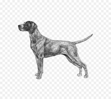 Dog details