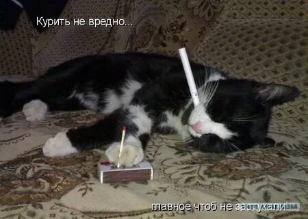 Чтоб не пил песня слушать