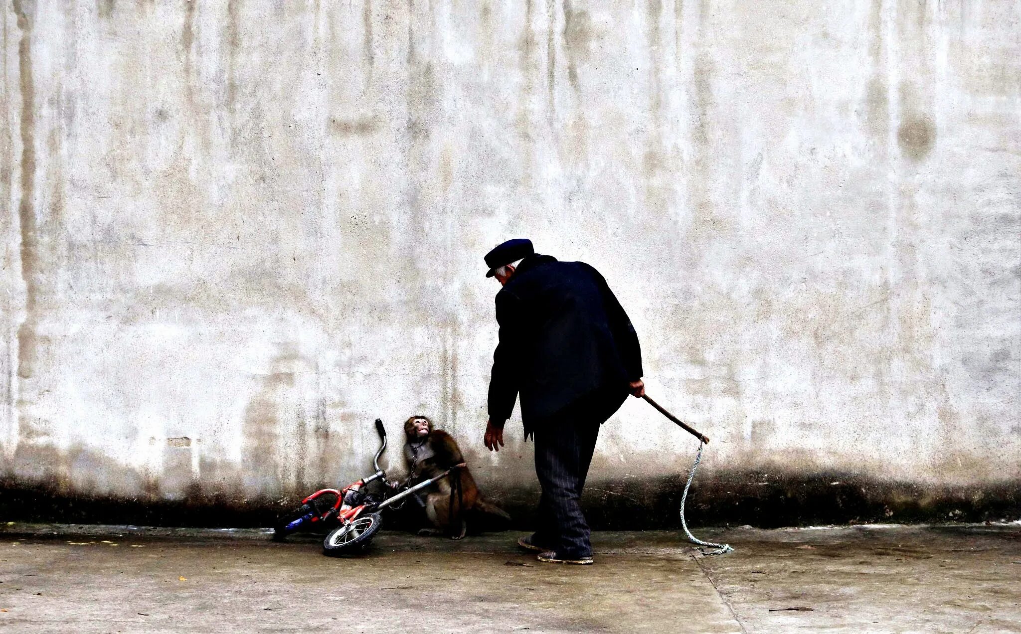 Клетка фильм 2000 карл старгер. Буллинг в школе мальчик. Равнодушие людей друг к другу. Фильм класс каспар. Буллинг в подростковой среде.