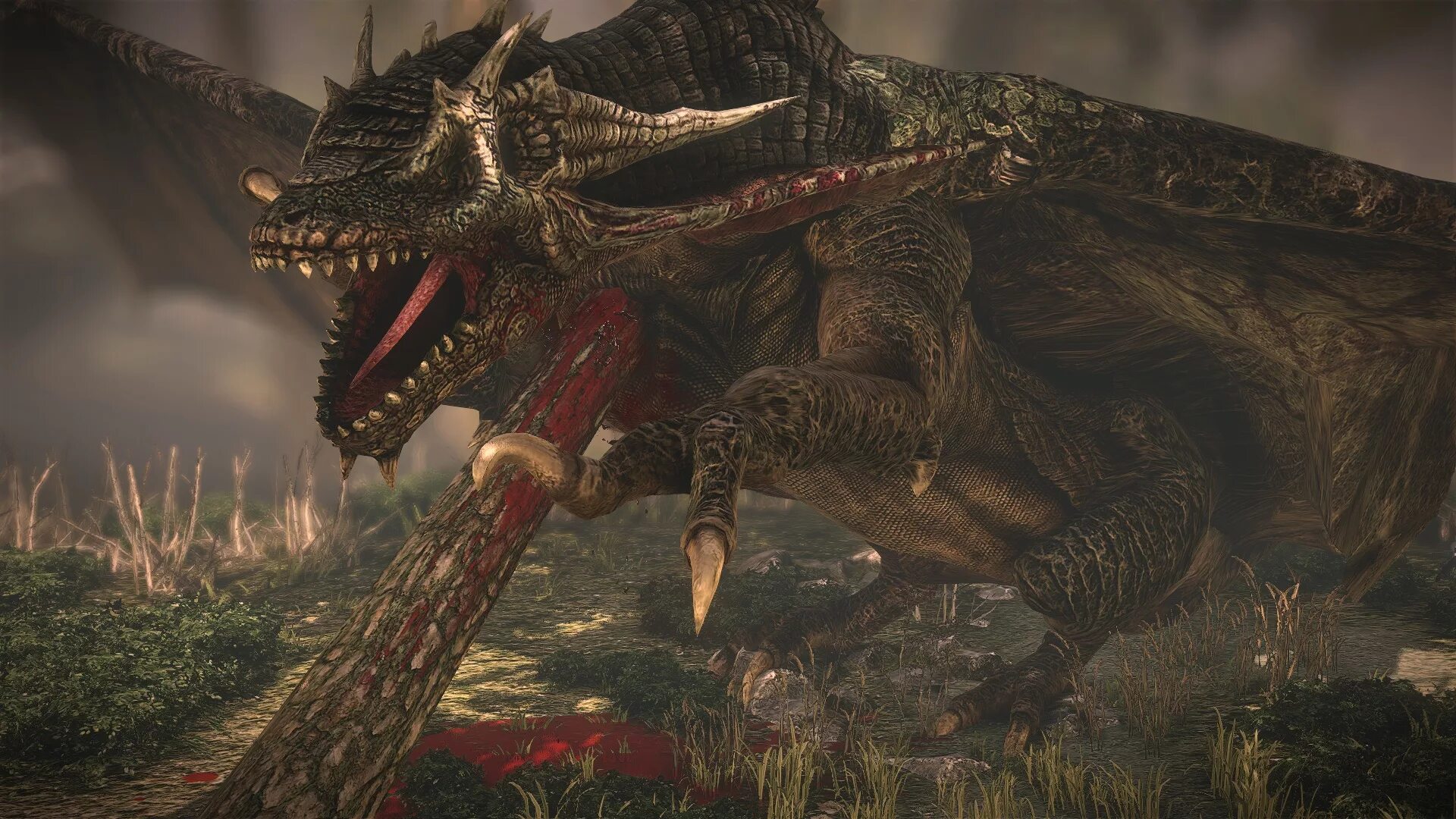 Саския ведьмак 2 дракон. Драконы убийцы 2. Dragon age 2 клеймо убийцы. Пепельная бронированная виверна 3. Дракон убийца фото.