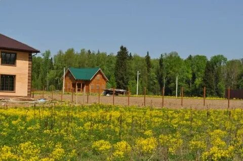 Лесные поляны московская область пушкинский
