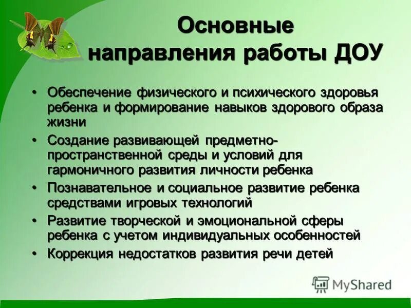 Основное направление детского сада