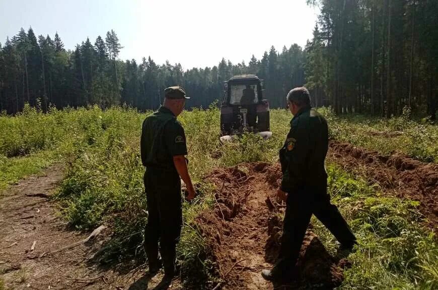 егорьевское лесничество