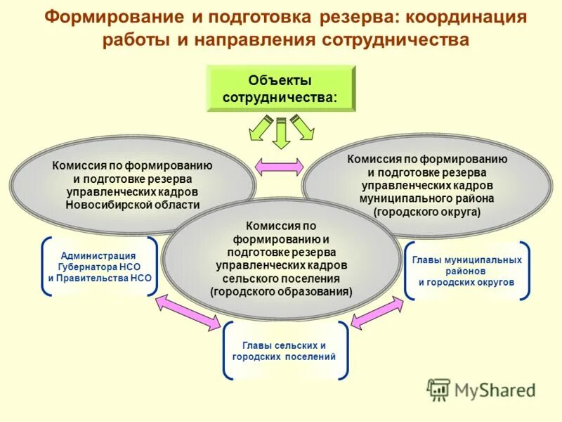 программы развития муниципальных кадров