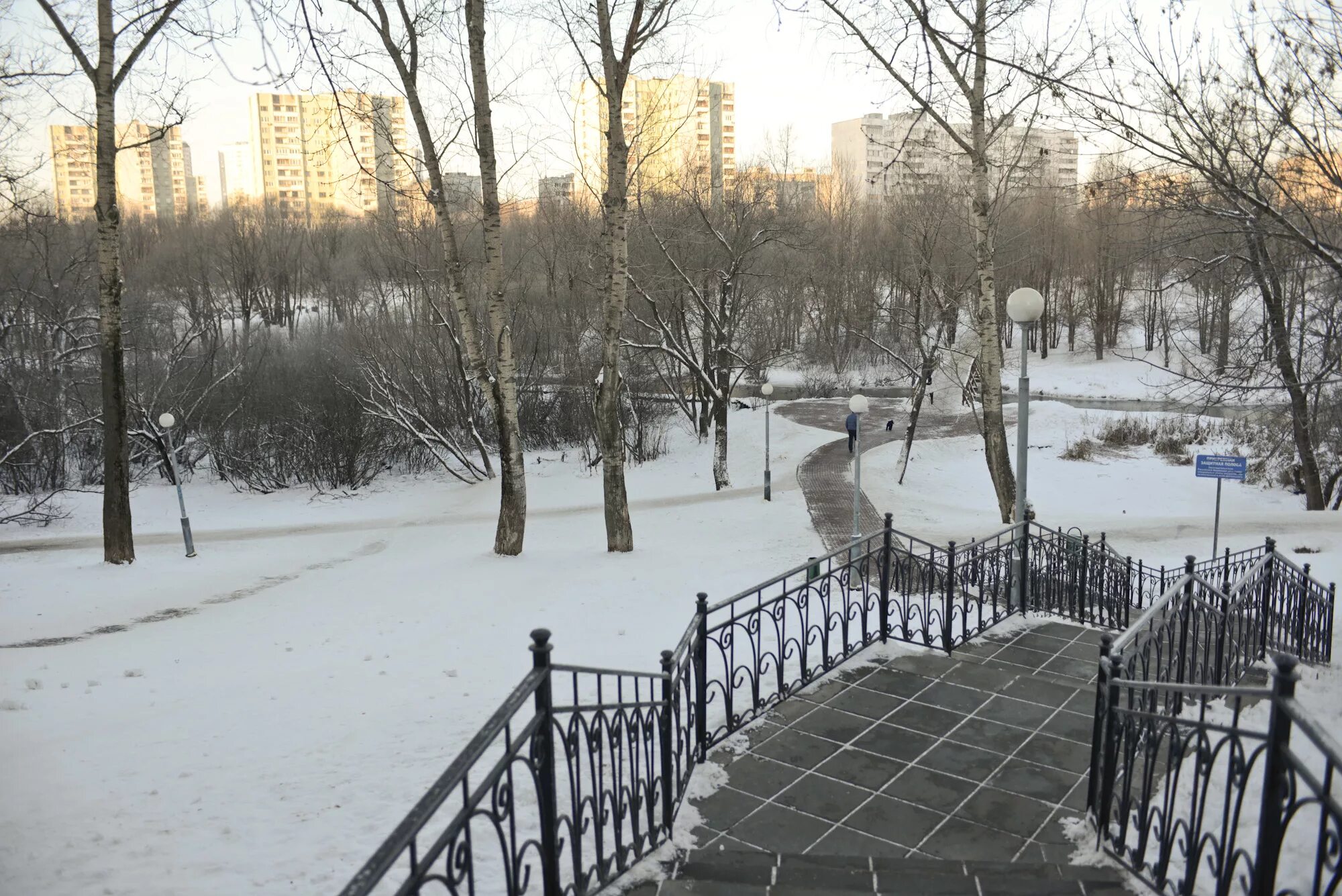 Парк Яуза Ростокино. Парк Яуза в Свиблово зимой. Река Яуза СВАО. Парк будущего Яуза Ростокино зима.
