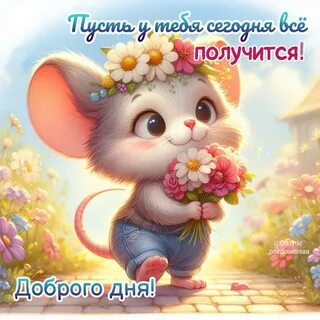 #4121 post - Открытки для радости (@otkritki_radosti)