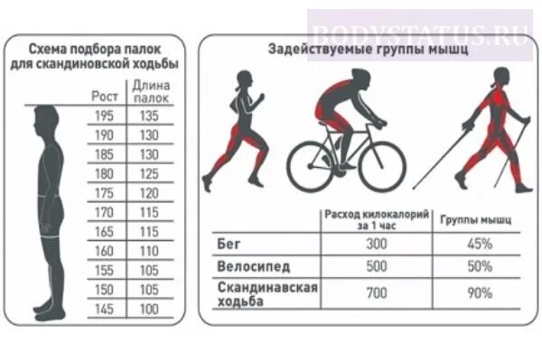 Сколько калорий сжигается на велосипеде. Езда на велосипеде калории. Велосипед количество калорий. Количество сжигаемых калорий на велосипеде.