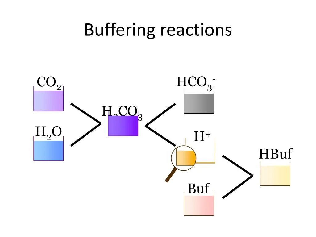 Co2+h2o⇔h2co3⇔h++HCO−3 биология. Подлинность hco3. Hco3 какая кислота. Hco3 что это