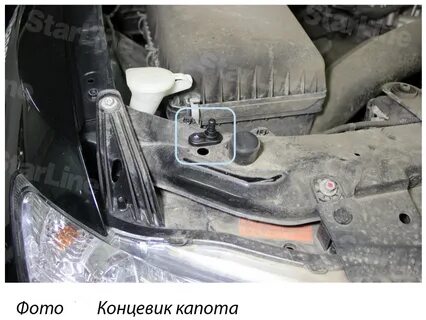Где находится капота