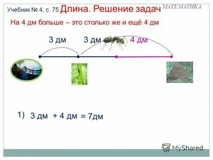 Высота елочки весной была 7 дм какой