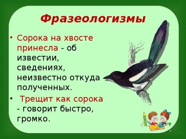 Лексическое значение слова птицы