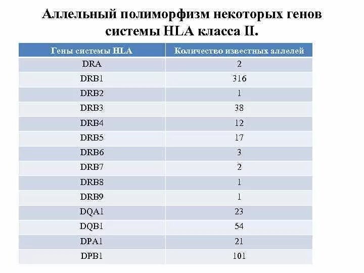 Генотипирование пары