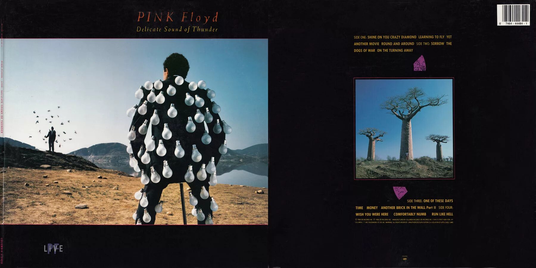 Delicate sound of thunder pink floyd. Пластинка delicate sound of thunder. Delicate sound of thunder pink floyd. Сторм торгерсон. Pink floyd delicate sound of thunder обложка.