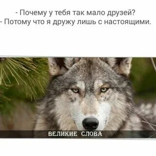 Потому друг