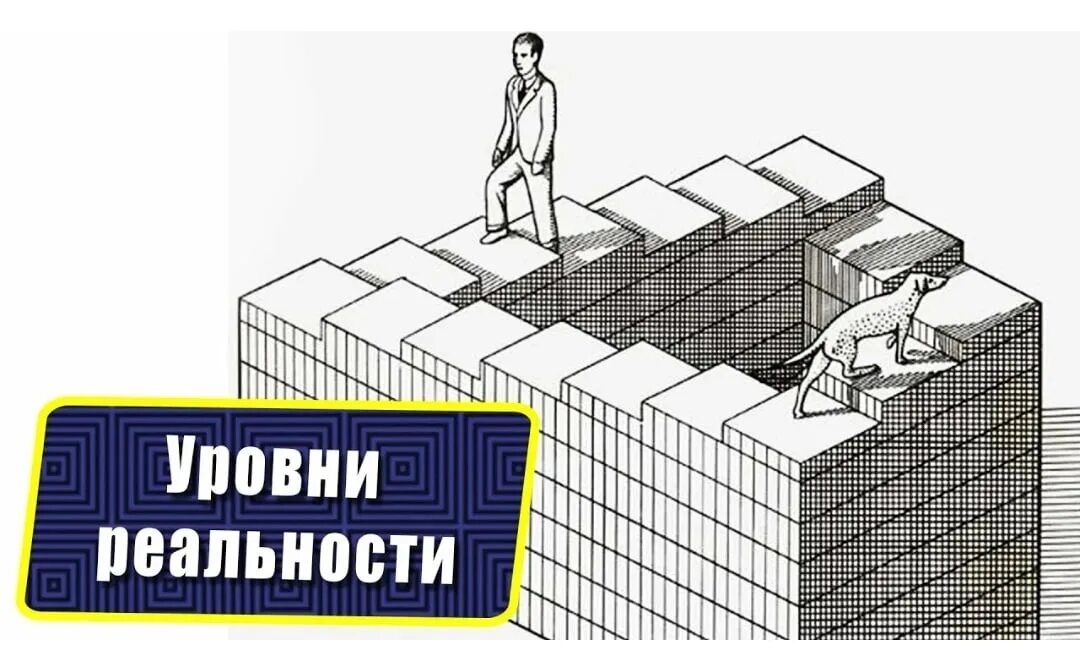 Уровни реальности. Семь уровней реальности. Биологические уровни реальности. Уровни. Реальности последовательность.