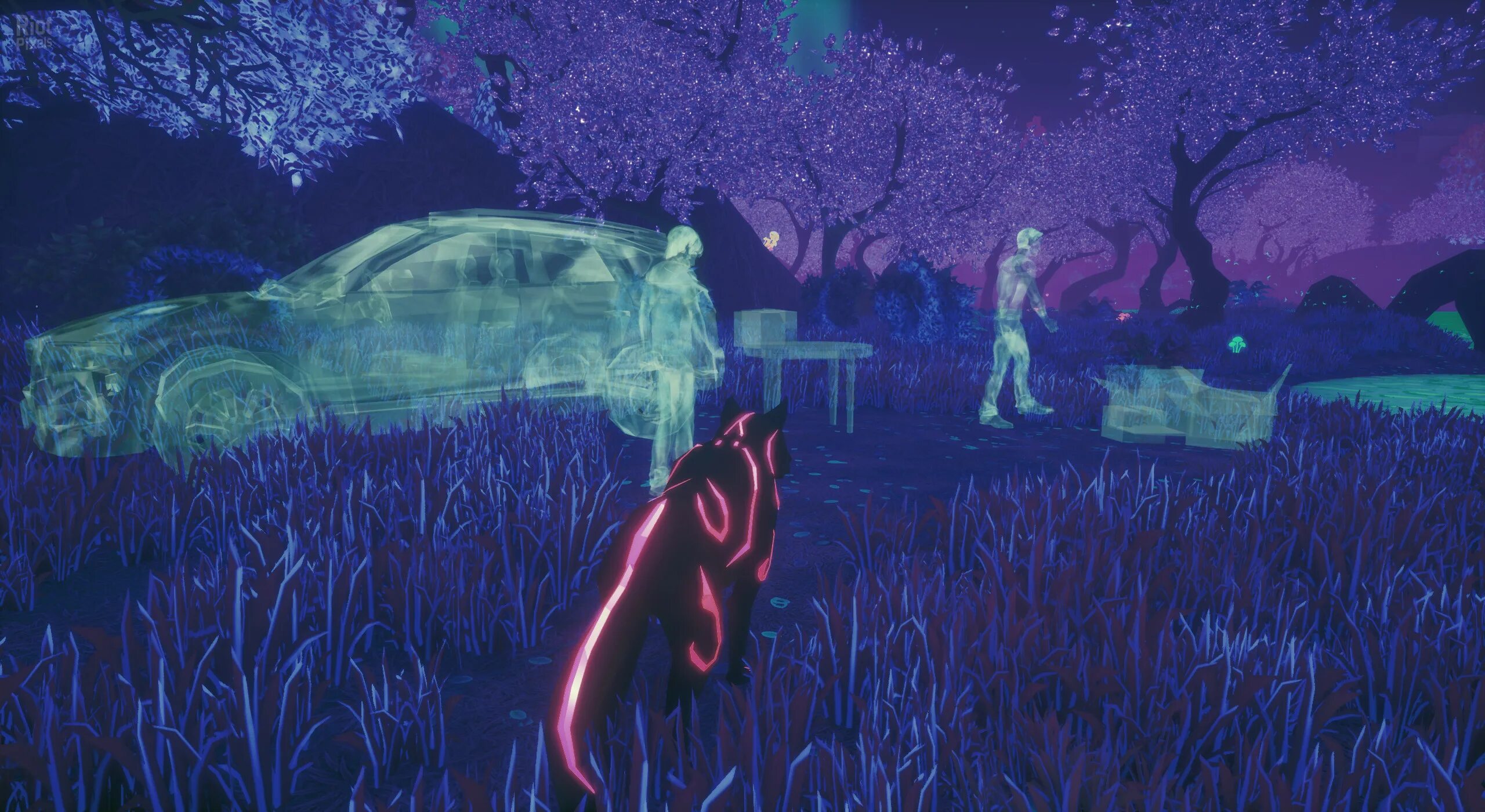 Haunted paws. Haunted paws. Haunted paws. Haunted paws. Haunted paws.