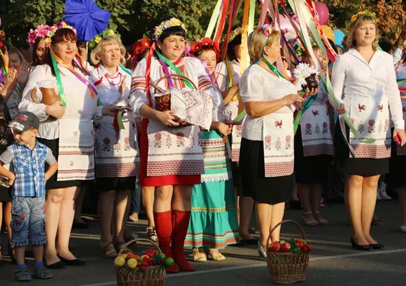 Станица Новотитаровская школа. Новотитаровская администрация. Администрация Новотитаровского сельского поселения. Школа станица Новотитаровская Краснодарский край. Погода в новотитаровской краснодарский край на 10