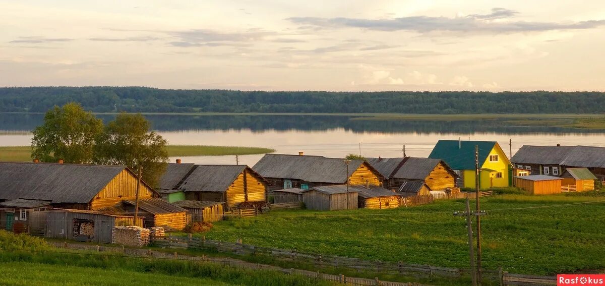 Кенозеро деревня Вершинино. Деревня Вершинино Архангельская. Деревня Вершинино Плесецкий район. Вершинино Архангельская область Плесецкий район. Погода в вершинино алтайский край