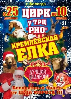 Цирк вологда на конева