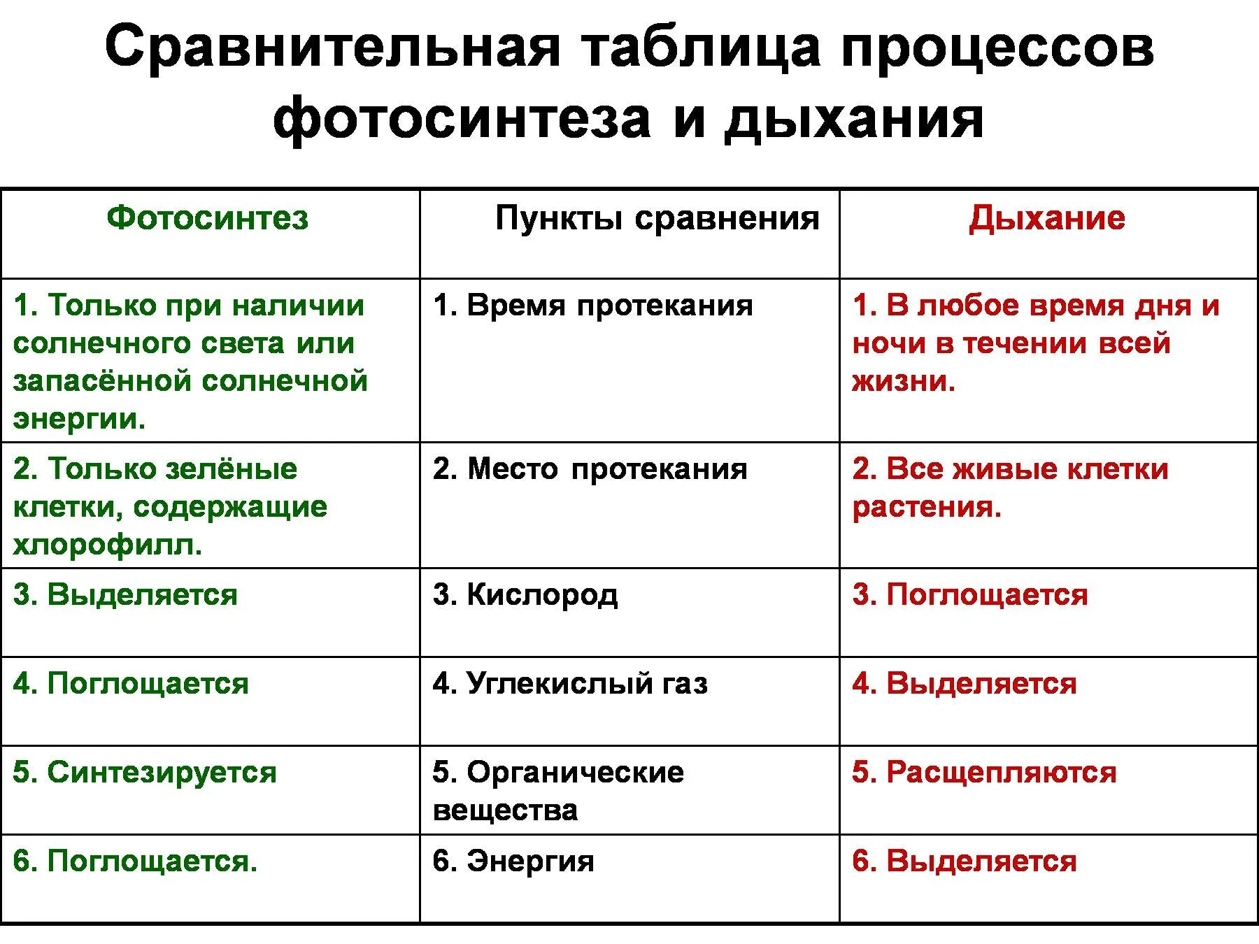 Время протекания фотосинтеза