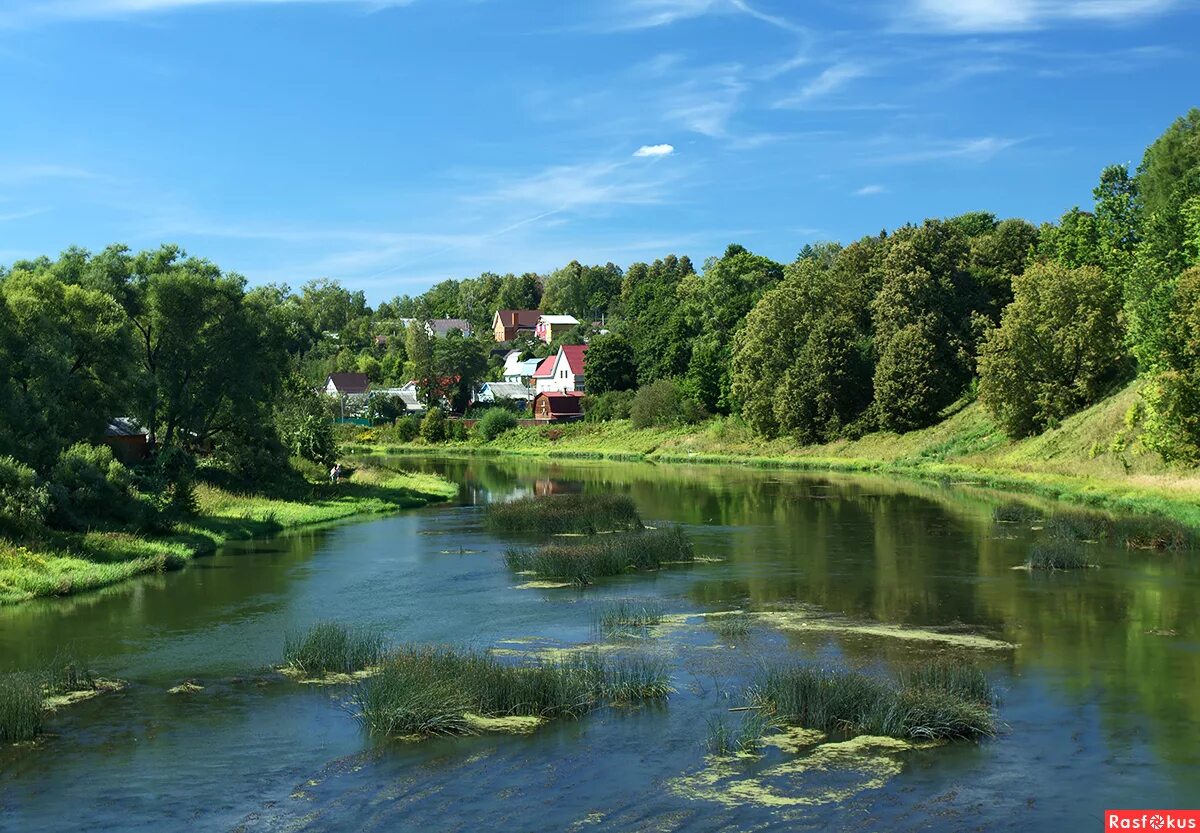 Река Руза Московская область. Подмосковье город Руза. Руза городок речка. Руза (река) реки Московской области.