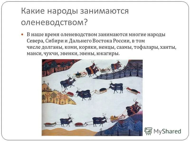 Чем занимаются народы россии. Какие народы России занимаются оленеводством. Оленеводство презентация. Оленеводство народы. Народы севера занимаются оленеводством.