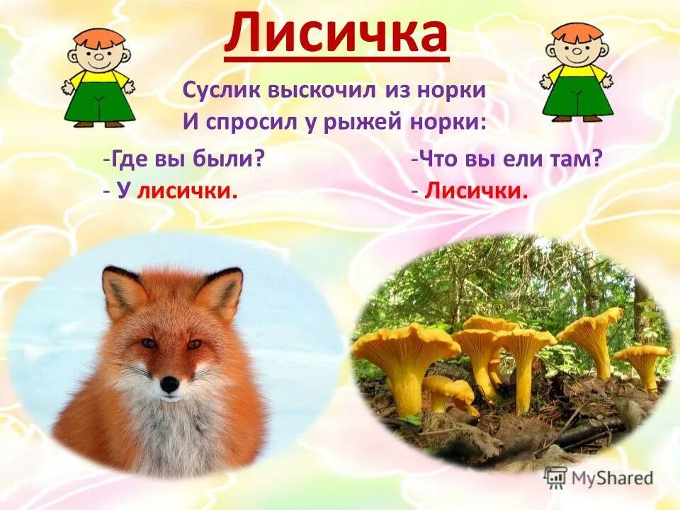 Лисичка разбор