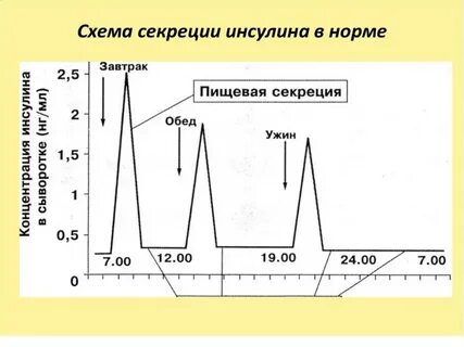Сахар в норме инсулин