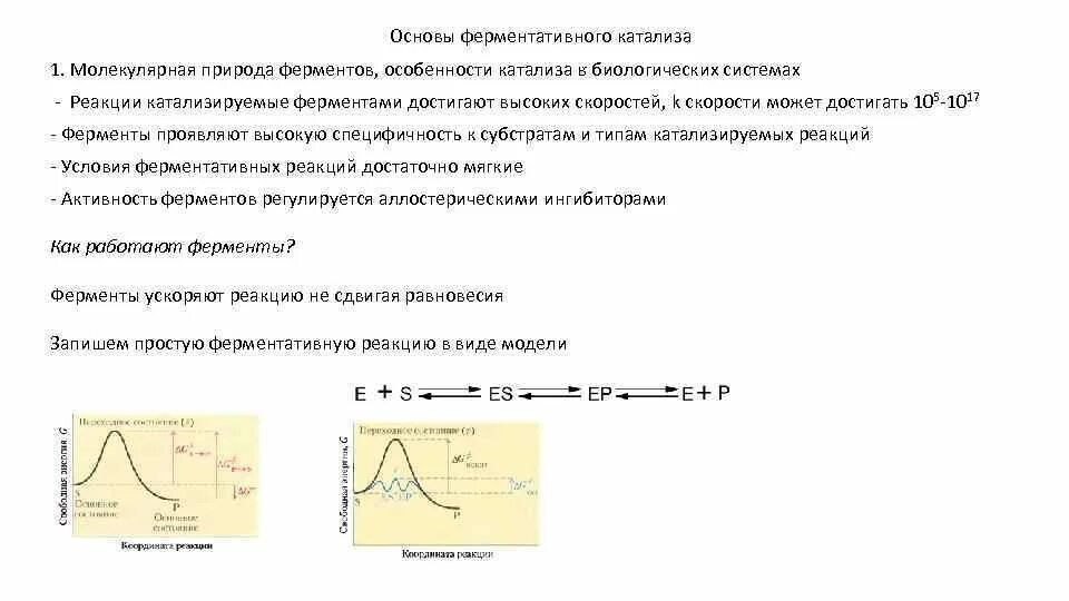 Катализ ферментов. Схема ферментативного катализа. Основы ферментативного катализа. Эффективность и специфичность ферментативного катализа.. Особенности ферментов катализа.