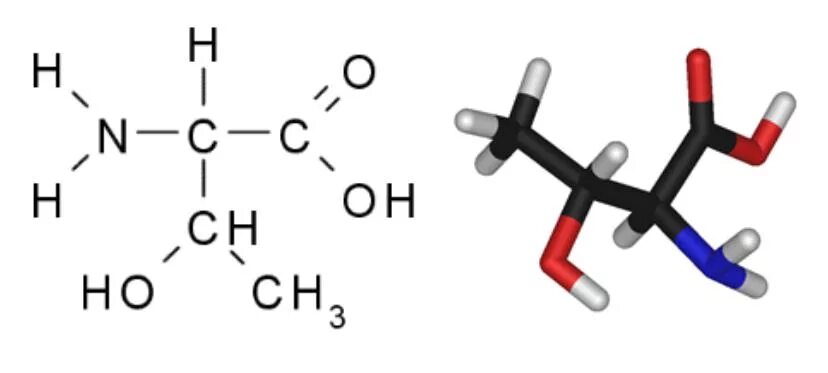 Треонин молекула. Треонин аминокислота формула. Треонин аминокислота формула. Треонин формула. Треонин кислота формула.