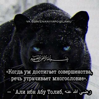 Совершенство речи