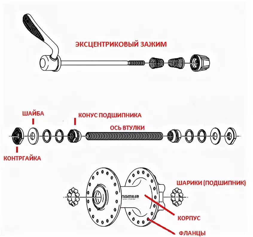 Как собрать колесо скоростного велосипеда. Задняя втулка велосипеда stels схема. Схема задней втулки велосипеда стелс. Втулка заднего колеса велосипеда форвард схема. Чертеж велосипедной втулки Nexave FN - im70.