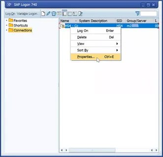 Sap gui