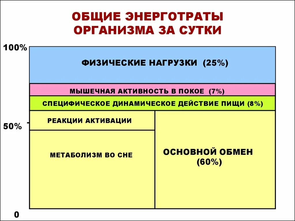 Составляющие общего обмена