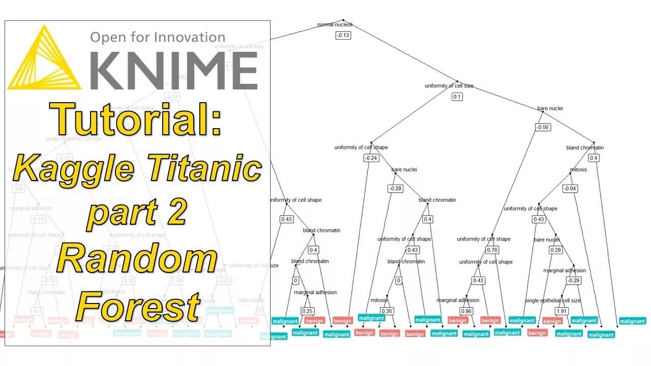 Titanic dataset. Датасет титаник. титаник random forest. titanic tutorial. случайный лес датасет титаник.