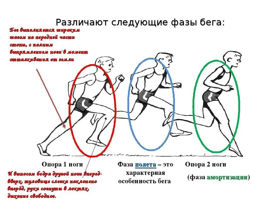 Использовать для любой части. Основные фазы техники бега.. Техника бега. Техника бега картинки. Техника движения ног в беге.