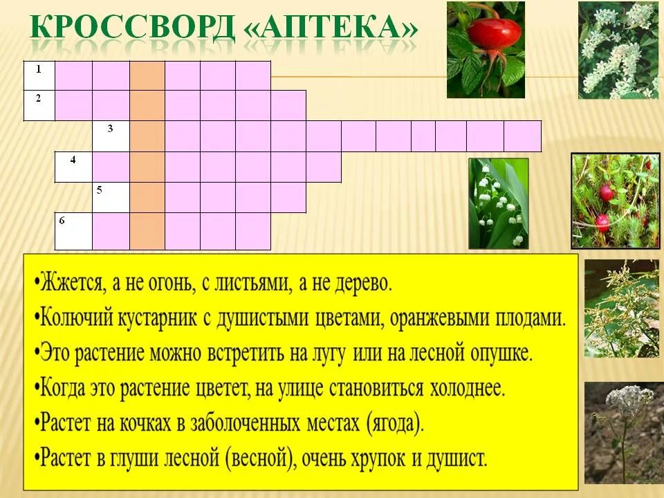 Кроссворд растения 3 класс