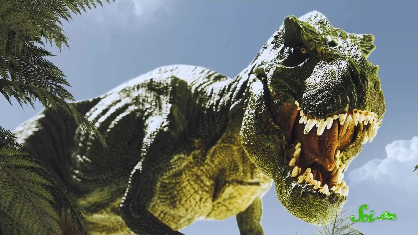 Удивительные динозавры. Динозавр "тиранозавр рекс". Тираннозавр видео. Тираннозавр видео. Dinosaur tyrannosaurus rex.