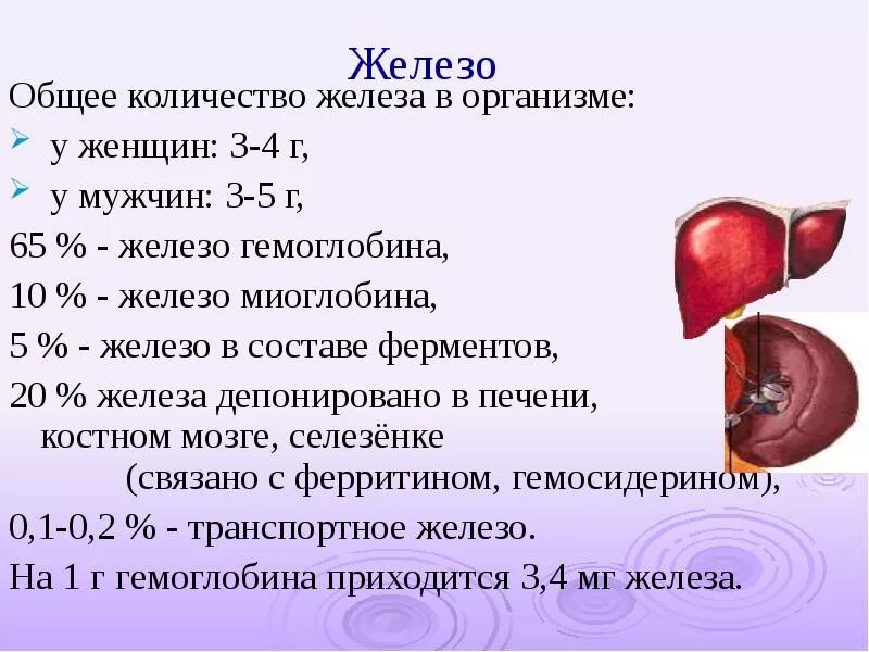 Норма железа у мужчин. Железо в организме человека. Железо в организме норма. Железо в организме необходимо для. Распределение железа в организме человека.