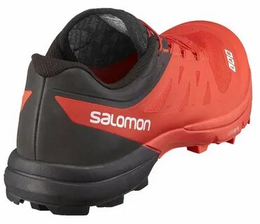 Salomon s lab