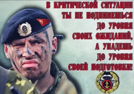 i?id=ca44df657baf3f16aa25b1d5b56391af66b0b2b4-5247044-images-thumbs&n=13