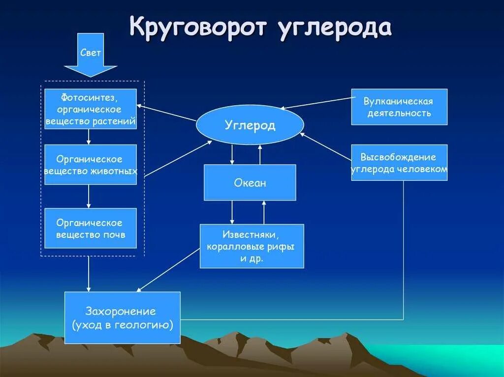Почему углерод называют элементом живой природы. Круговоротуолерола в природе. как происходит круговорот углерода. схема круговорота углерода. схема биогеохимического круговорота углерода.