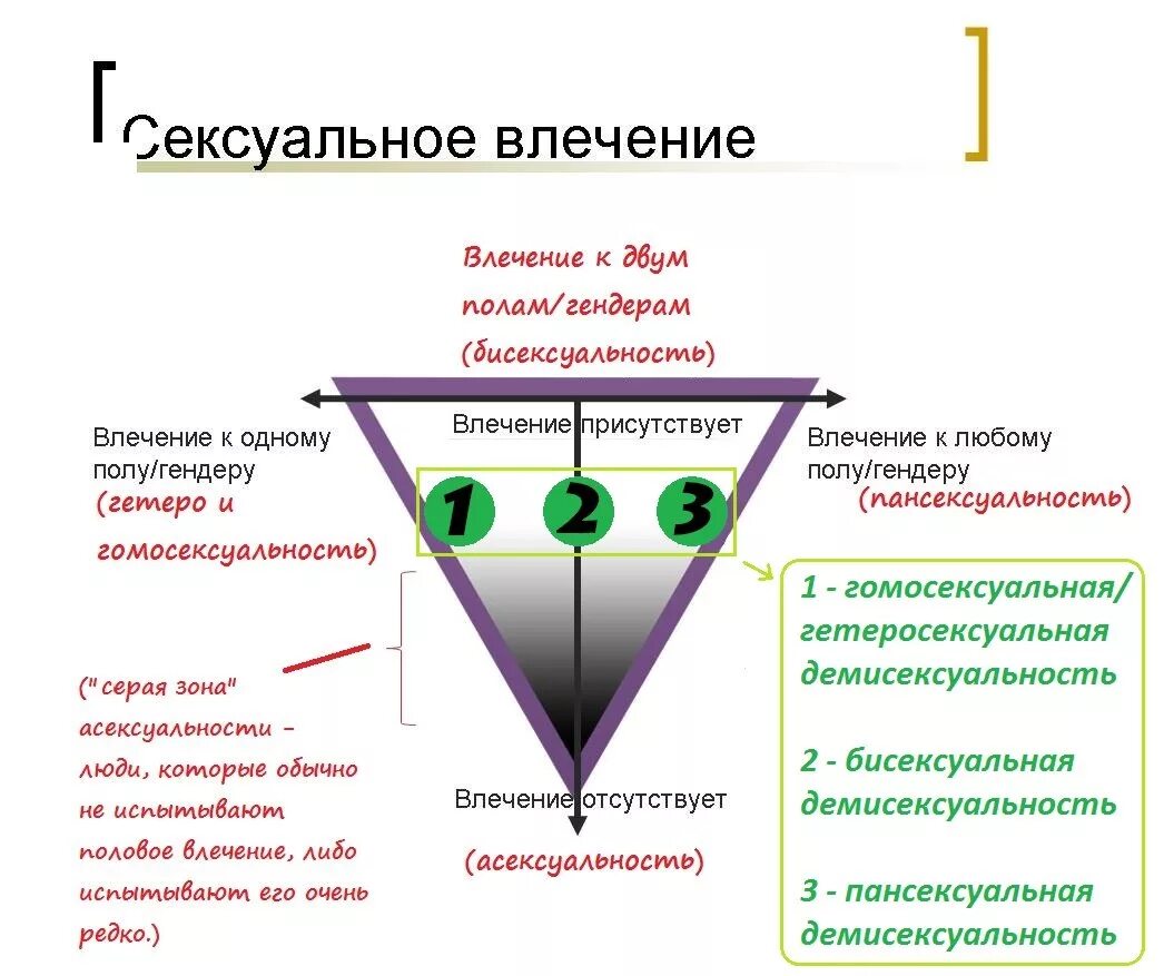 Половое влечение 2. Виды ориентаций. Разновидности асексуальности. Демисексуалка. Асексуалы демисексуалы.