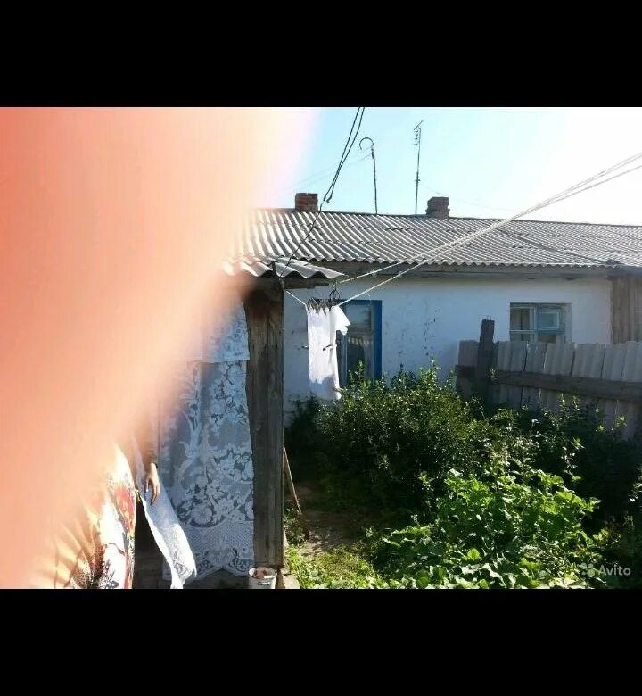 Погода в добровольске омской. Цветочное омская область русско полянский. Дом в русской поляне. Добровольск село оренбургская область. Совхоз цветочный русско-полянского.