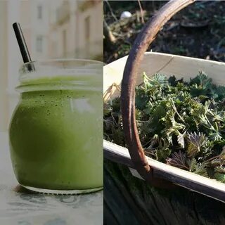 Крапива очищает
