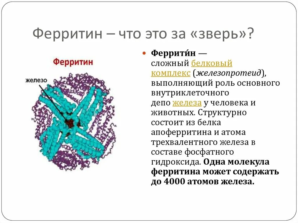 Уровень ферритина в организме