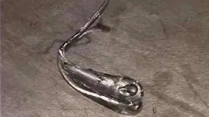 Стекло капля принца руперта. Стекло слеза руперта. Капли принца руперта. Капли руперта. Капли принца руперта.