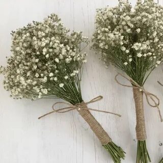 Сколько живут гипсофилы букет